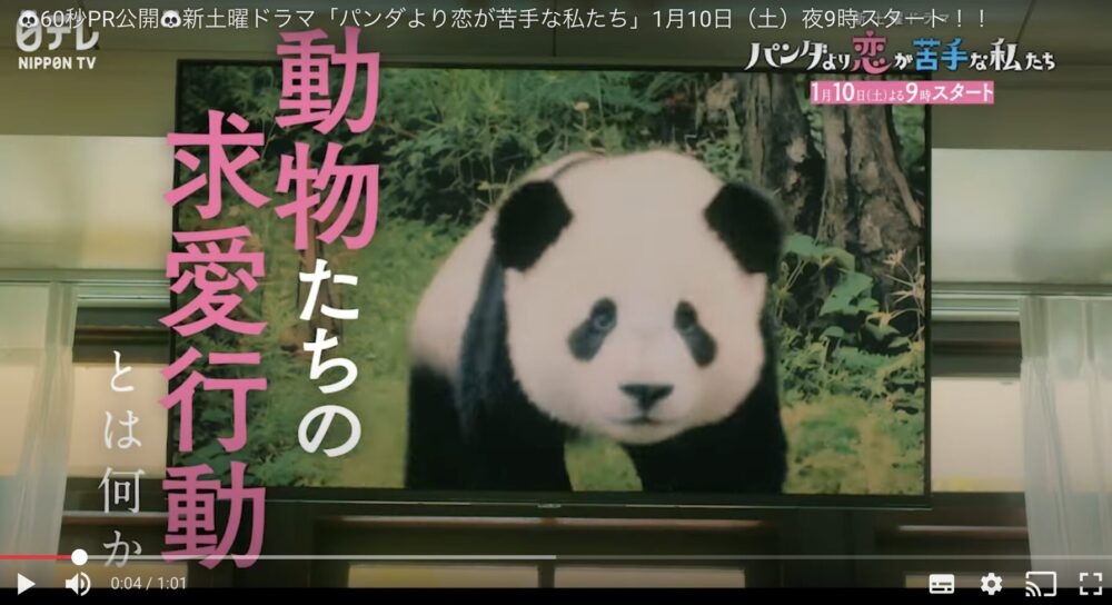 『パンダより恋が苦手な私たち』を見る前に知りたい、パンダの求愛行動が完全に人間だった件